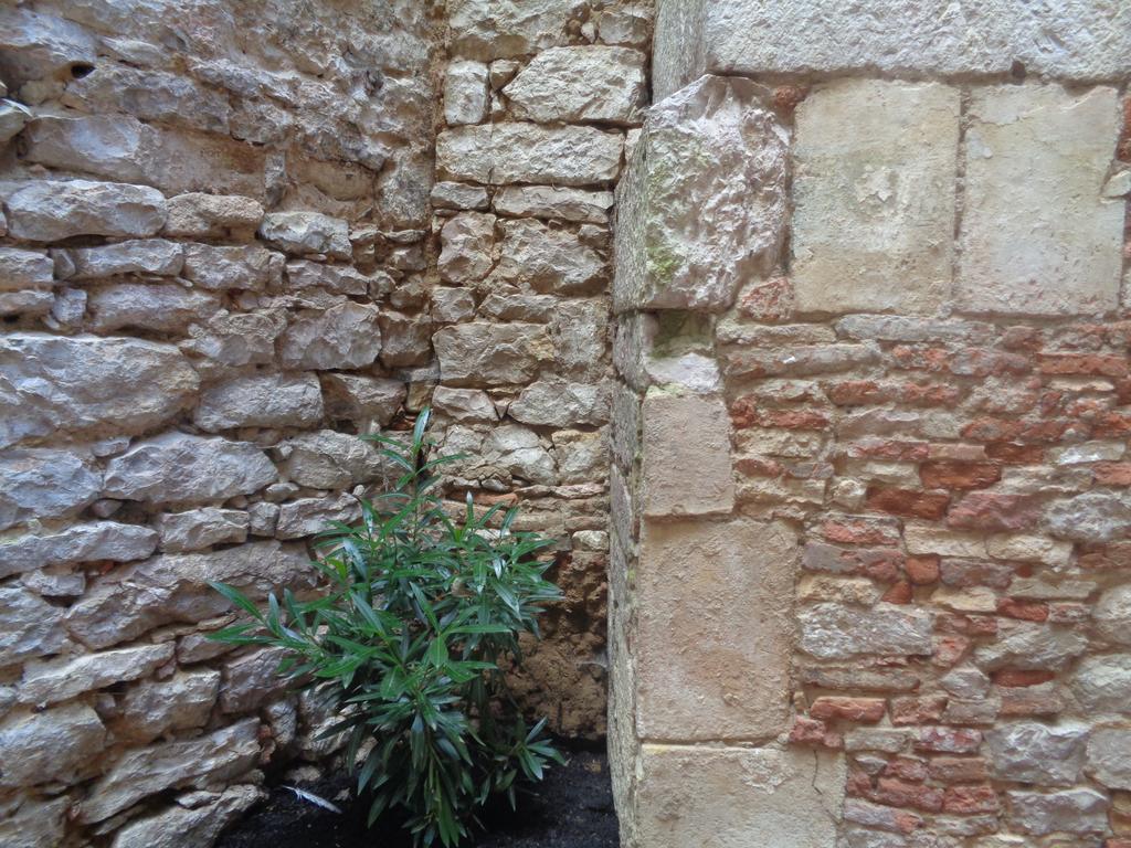 B&B Le Chat Qui Dort Montricoux Exterior foto